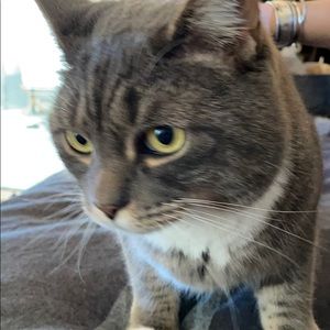 Meet your Posher, Robert